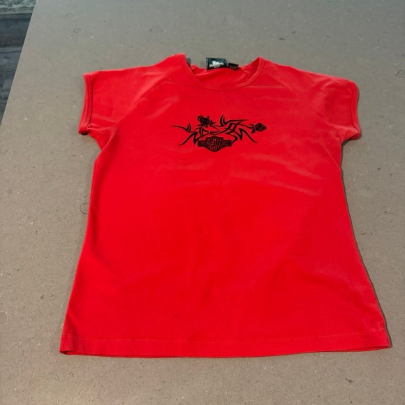 Harley-Davidson Tops - Harley Davidson T-shirt women's size small Northern Lights Arbor Vitae Wisconsin